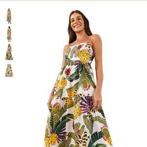 Farm Rio  Striped Forest Maxi Dress size small worn once